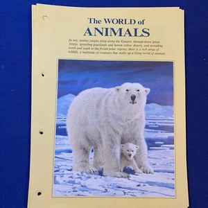 Animals Stamp Collection (93 Stamps and space for more) - Bild 1 von 21