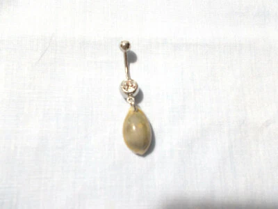 Cowrie Sea Shell Marrón y Gris Colorear en Barra Anillo Vientre Circonita Transparente 14g Foto 1 de 2