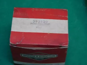 Briggs & Stratton - 393820 - Kolbenbaugruppe - Kostenloser Versand - Bild 1 von 2