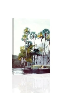 Homosassa River-Homer - GICLÉE KUNSTDRUCK 12 x 18 viele Größen - Bild 1 von 2