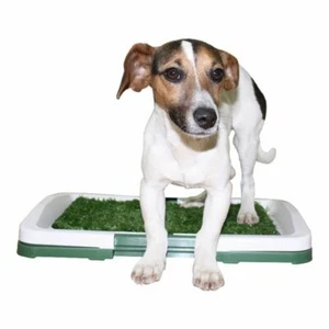 PHundeklo Welpenklo Hundetoilette Kunstgras Puppy Potty Pad Welpen Erziehung  - Imagen 1 de 1