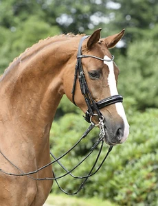 Kandare MAILAND - Bild 1 von 2