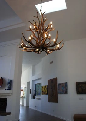 XL ARAÑA CASCADA ALCE ASTA REAL POR CDN 64"x63", 20 luces, araña ciervo  Foto 1 de 2