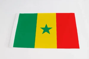 2PCS 18"x12" Large Senegal Flag Cords Senegalese Outdoor Flags 30x45cm On Stick - Picture 1 of 1