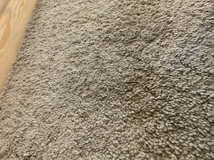 Next Large Rug Beige - Picture 1 of 4