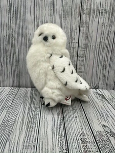 TY Beanie Baby - KNOWLEDGE the Snowy Owl (Borders Exclusive) (6 inch) - Picture 1 of 7
