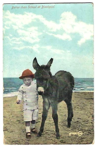 Humorous postcard - BETTER THAN SCHOOL AT BLACKPOOL - Boy with Donkey on beach - Picture 1 of 2