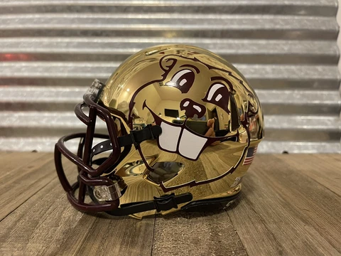 Custom Minnesota Golden Gophers Speed Mini Helmet Cover