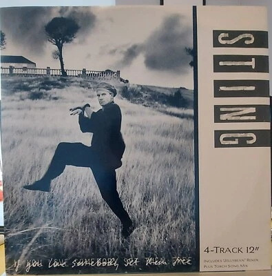 STING 12" IF YOU LOVE SOMEBODY SET THEM FREE A&M UK JELLYBEAN WILLIAM ORBIT 1985 Foto 1 de 2