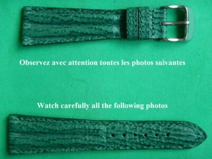 Bracciale 22 mm/16 mm confezione originale squalo vero verde tipo Breitling doppio bracciale - Foto 1 di 16