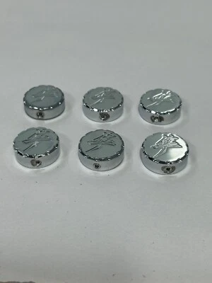 LIQUIDACIÓN HAYABUSA CROMO KANJI CLAVIJA SOPORTE PERNOS 1999-2025 SUZUKI HAYABUSA Foto 1 de 4