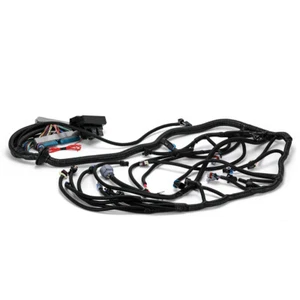 LS Swap Stand Alone Wiring Harness For 97-06 GM Vortec DBC 4.8L 5.3L 6.0L 4L60E - Picture 1 of 13