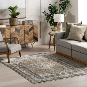 Fringed Performance Indoor Area Rug, Power Loomed, Easy Clean, Durable, Non-S... - Picture 1 of 9