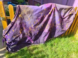Shires Tempest Turnout Rug No Fill Purple & Gold 6ft3 - Picture 1 of 7