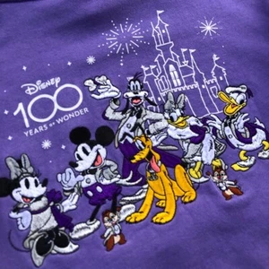 Disney 100 Years Anniversary Purple Embroidered Hoodie Size 4 (Children’s) - Picture 1 of 12