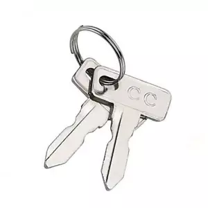 Club Car Replacement Golf Cart Keys (50 Pack) - Picture 1 of 1