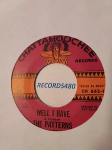 45 The Patterns "Well I Have/Late Show" Chattahoochee Records CH-662 - Imagen 1 de 2