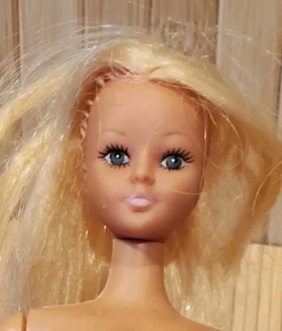 Barbie Clone Durham Hong Kong Doll Vintage - Picture 1 of 4