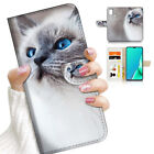 ( For Optus X Delight 2 ) Wallet Flip Case Cover AJ23115 Ragdoll Kitten Cat
