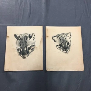 Vintage 1943 Pounce Clare Turley Ocelot Cat Cubs Prints 14 x 11" - Picture 1 of 8