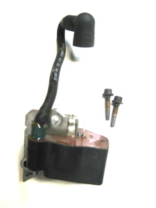 Módulo de encendido soplador Poulan BVM200FE 501092801, 530039229, 545081826, 53003921 - Imagen 1 de 2