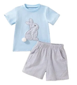Boys Seersucker Shorts Bunny Appliquéd Tee TShirt Toddler Size 2/3 Summer Set - Picture 1 of 5