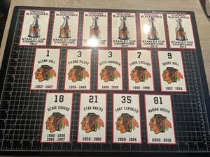 3 SIZES- Chicago Blackhawks Stanley Cup & Retired #DECAL banners MANCAVE CHELIOS - Picture 1 of 7