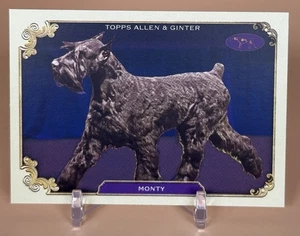 Monty Westminister Kennel Club Dog Show 2024 Allen & Ginter Card #SOS-31 - Picture 1 of 2