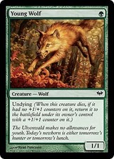 Dark Ascension Young Wolf x4 Magic The Gathering NM