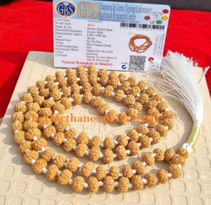 6 Mukhi Rudraksha Mala/Six Face Rudraksh Mala-109 beads Size 8 - 9 mm -Certified - Picture 1 of 3