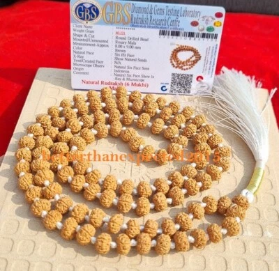 6 Mukhi Rudraksha Mala/Six Face Rudraksh Mala-109 beads Size 8 - 9 mm -Certified - Image 1 of 3