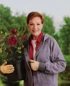 Julie Andrews 8x10 Foto 10725-21 - Bild 1 von 1
