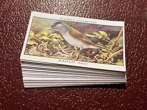 John Players Cigarette Cards Full Set of 25 - Birds And Their Young 1937