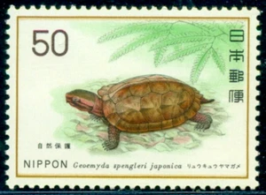 1976 Ryukyu black-breasted leaf turtle, Nature protection,Japan,M.1281,MNH - Picture 1 of 1
