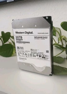 WD 20TB Interne Festplatte WD200EDGZ 3,5 Zoll HDD SATA 6Gb/s 7200RPM - Bild 1 von 7