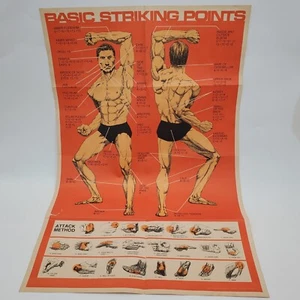 Vintage 1981 BASIC MARTIAL ARTS TECHNIQUE STRIKING POINTS POSTER 23x35" - Picture 1 of 13