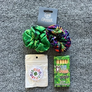 Pfadfinder Belohnung Climb The Courage Haargummi Farbstifte Handy Griff Posten - Bild 1 von 5