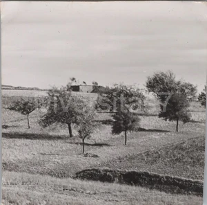 Foto, Vermessungs-Abteilung 607, Bunker bei Ludweiler 1940 D/93 - Bild 1 von 2