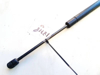 8200119500 muelle de presión de gas capó Renault Scenic DE1826374-10 Foto 1 de 4