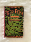 British Ferns & their Allies  by Thomas Moore 1860 Antique Pocket Guide.