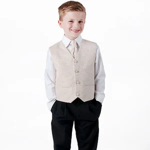 Boys Suits 4 Piece Champagne Waistcoat Suit Swirl Pageboy Party Formal Wedding - Picture 1 of 5
