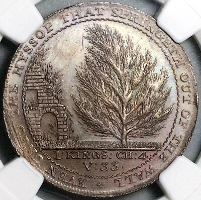 1794 NGC MS 66 Bath 1/2 Penny Botanic Garden Conder D&H 26 POP 1/0 (24010601D) - Image 1 of 4