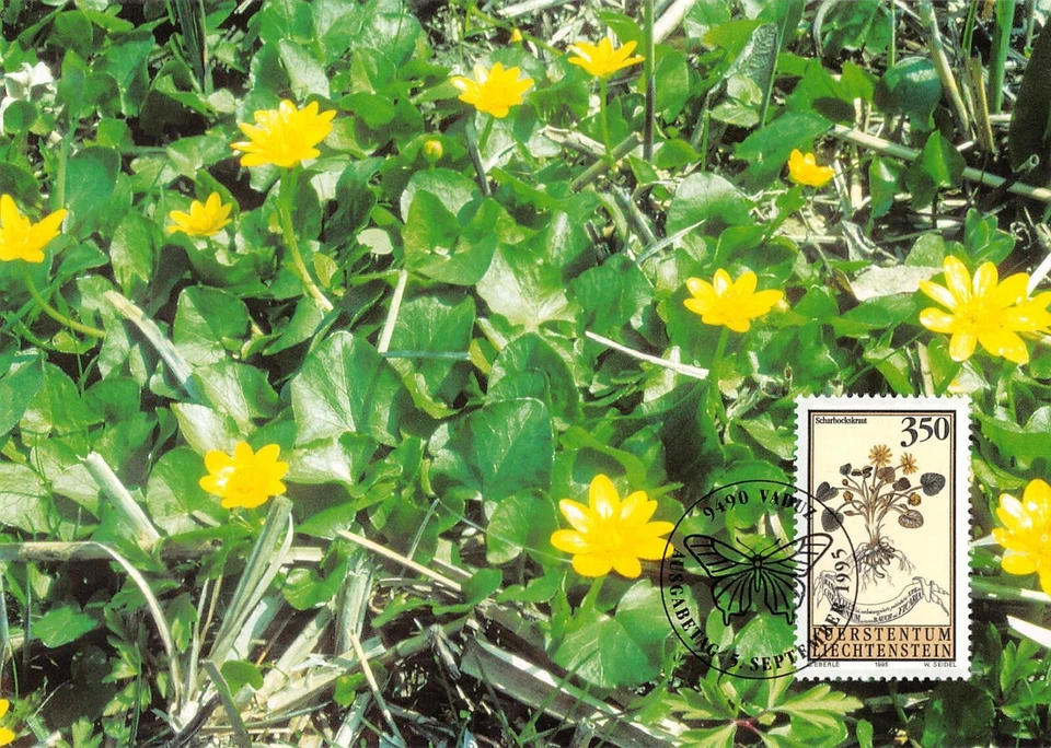 Maximum Card FDC LIECHTENSTEIN Medicinal Plants 1995 MK 135 n1 - Image 1 of 2