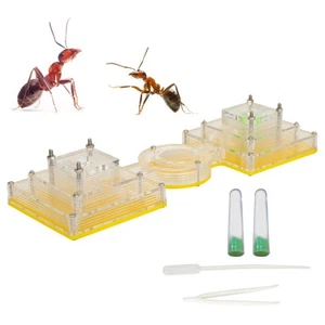 Acrylic Ant Nest Villa Farmhouse with Moisture Tower and For Feeding Station - Picture 1 of 12