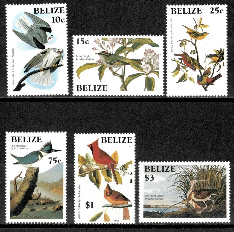 Belice 1985 - Audubon Birds Art - Juego de 6 estampillas - Scott #750-55 - MNH Foto 1 de 1