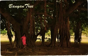 Vintage Posted September 25 1967 Postcard BANYAN TREE Lahaina Maui - Picture 1 of 2