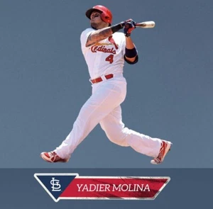 YADIER MOLINA FATHEAD JUNIOR JR 27" x 22" MLB Wall Graphic Decal CARDINALS - Picture 1 of 1