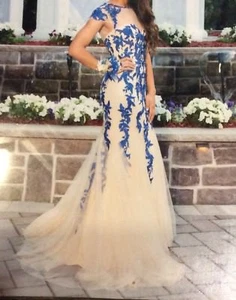 Andaya Sherryl Evening Dresses Celebrity Prom Gowns Regular Price $ 765.00 - Picture 1 of 12