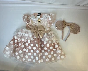 Disney Minnie Mouse Dress Costume Ears Headpiece Pink Tulle’ Princess 2-4T READ - Picture 1 of 15