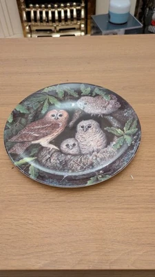 Wedgwood Tawny Owl and Young Plate Dick Twinney Danbury Mint - Image 1 of 2